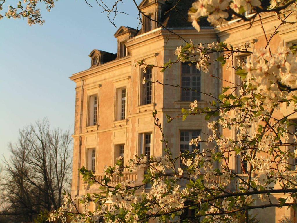 Chateau De La Haye Bed and Breakfast Contigné Exterior foto