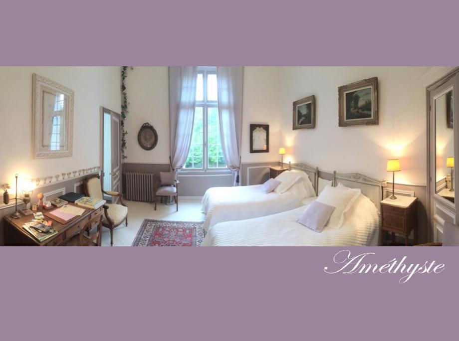 Chateau De La Haye Bed and Breakfast Contigné Exterior foto
